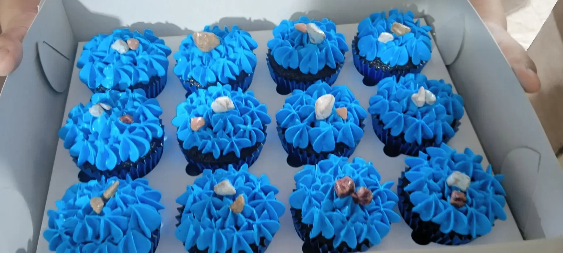 Blue Pebble Cupcakes